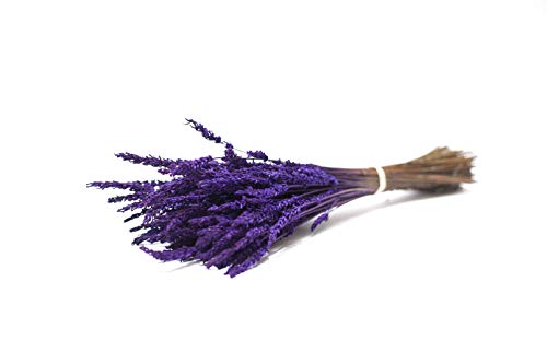 Ramo de Lavanda preservada