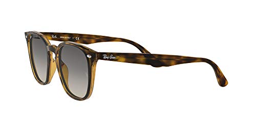 Ray-Ban 4258 Gafas de sol, Havana, 50 Unisex-Adulto