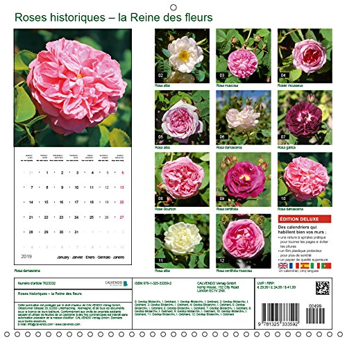 Roses historiques - la reine des fleurs (calendrier mural 2019 300 * 300 mm square) - beaute, senteu (Calvendo Nature): Beauté, senteur et une ... historiques (Calendrier mensuel, 14 Pages )