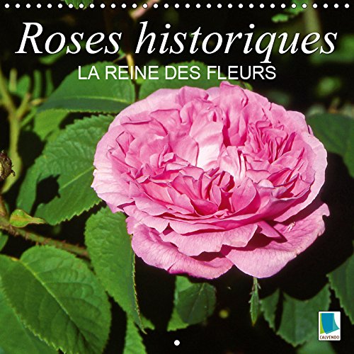 Roses historiques - la reine des fleurs (calendrier mural 2019 300 * 300 mm square) - beaute, senteu (Calvendo Nature): Beauté, senteur et une ... historiques (Calendrier mensuel, 14 Pages )