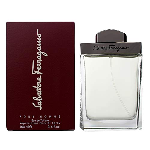 Salvatore Ferragamo S.Ferragamo Pour Homme Edt 100 Ml - 100 ml