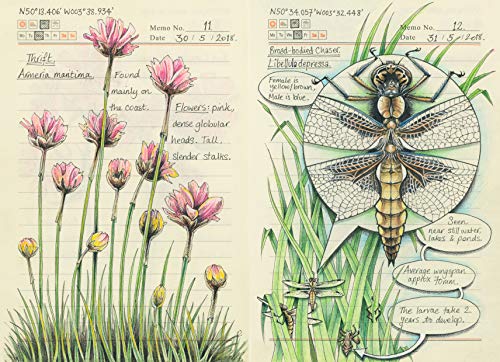 Secrets of a Devon Wood: My Nature Journal