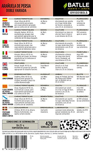 Semillas de Flores - Arañuela de Persia doble variada - Batlle
