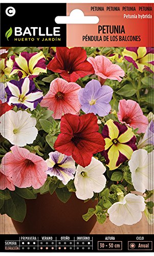 Semillas de Flores - Petunia Péndula de los Balcones - Batlle