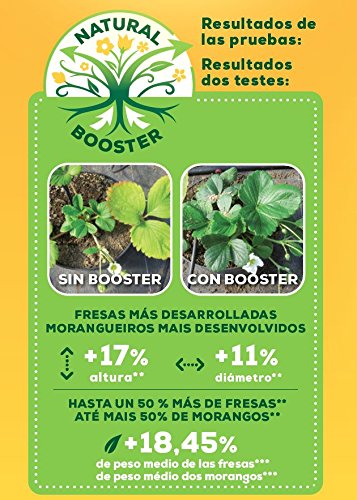 Solabiol Fertilizante 100% organico para frutos rojos y estimulador Natural Booster, 750g