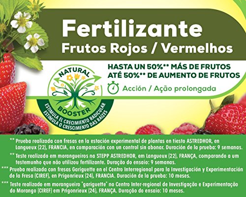 Solabiol Fertilizante 100% organico para frutos rojos y estimulador Natural Booster, 750g