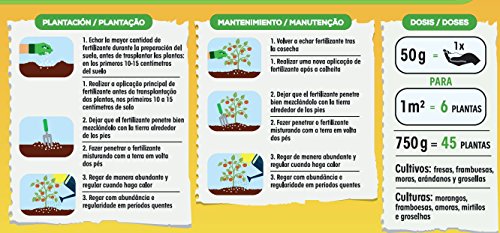 Solabiol Fertilizante 100% organico para frutos rojos y estimulador Natural Booster, 750g