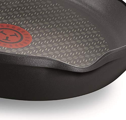 Tefal Aroma - Sartén de aluminio fundido 24 cm recubrimiento titanio antiadherente y thermosport, aptas para todo tipo de cocinas, base gruesa adecuada para inducción, picos vertedores y asas de apoyo