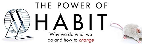 The Power of Habit: Why We Do What We Do, and How to Change