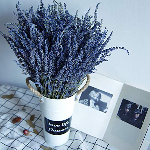 TooGet Flores de Lavanda Natural, Fragante Ramo de Lavanda Seca 200 Se Deriva de 40-45cm de Largo, Flores Decorativas Ramo de Flores Para La Decoración Del Hogar, Regalo, Boda o Cualquier Ocasión