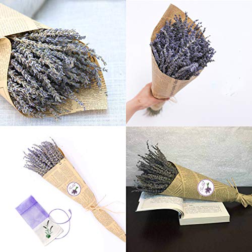 TooGet Flores de Lavanda Natural, Fragante Ramo de Lavanda Seca 200 Se Deriva de 40-45cm de Largo, Flores Decorativas Ramo de Flores Para La Decoración Del Hogar, Regalo, Boda o Cualquier Ocasión