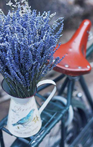 TooGet Flores de Lavanda Natural, Fragante Ramo de Lavanda Seca 200 Se Deriva de 40-45cm de Largo, Flores Decorativas Ramo de Flores Para La Decoración Del Hogar, Regalo, Boda o Cualquier Ocasión