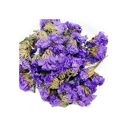 TooGet - Pétalos y Capullos De Flores, Incluye Lavanda, Nomeolvides, Caléndula, Jazmín, Flores de Poto, Acacia, Rosa, Amaranto Globoso y Siempreviva, Perfectos Para Todo Tipo de Manualidades