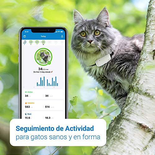 Tractive Localizador GPS para gatos, rango ilimitado, seguimiento de actividad, resistente al agua