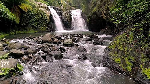 Tropical Cascades - 2 DVD Set of Waterfalls - 2 Hours of Tropical Waterfalls From Around the World with Real Waterfall and Water Sounds - Perfect to Relax with and Soothing for Bedtime