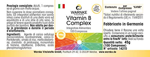 Vitamina B Complex – Vegetariano – Con todas las Vitaminas B esenciales – 100 cápsulas