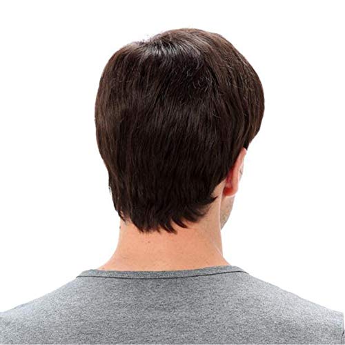 WIGSXIN Peluca para Hombres de Pelo Corto lacio, Natural Ondulado con Capas Peluca de Pelo para Men Uso Diario Carnaval Disfraz Fiesta Halloween 12",01