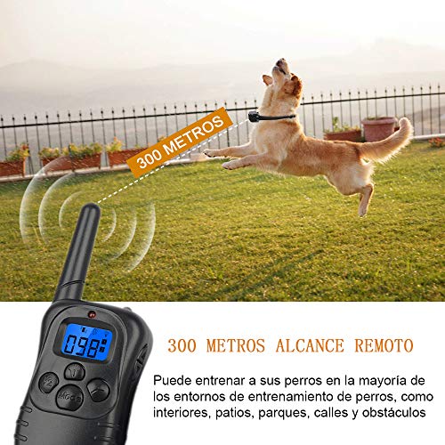 Wodondog Collar de Adiestramiento para Perros, Resistente al Agua con vibración y Sonido, Rango Remoto de 300 Metros - 2 Collars