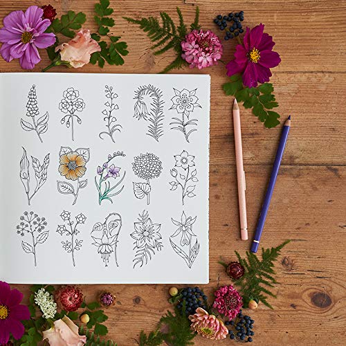 World Of Flowers: A Coloring Book and Floral Adventure