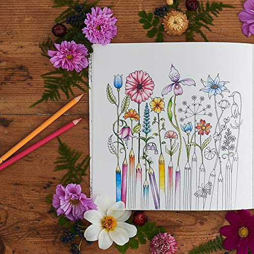 World Of Flowers: A Coloring Book and Floral Adventure