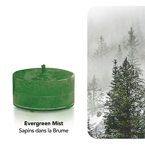 Yankee Candle Velas de Té Aromáticas, Neblina Incesante, Colección Alpine Christmas, 12 Unidades