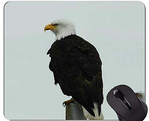 Yanteng Alfombrilla de Goma Antideslizante para Juegos, Alfombrilla de ratón American Bald Eagle Themes Office