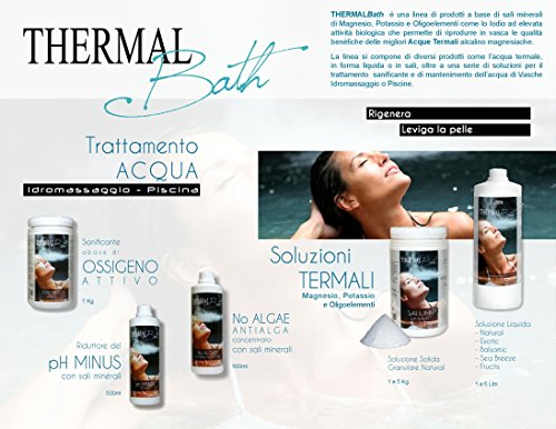 Agua termal para spa, jacuzzi y piscina Thermal Bath Natural (inodora) 5 litros. Producto Ideal para piscina y spa de hidromasaje de cualquier marca (Jacuzzi, Teuco, Grass, Hafro, Dimhora, etc.). -