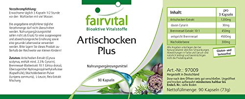 Alcachofa Plus - VEGANO - 90 Cápsulas - con extracto de ortiga 10: 1 y baya de enebro - Calidad Alemana