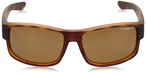 Arnette Boxcar gafas de sol, Fuzzy Havana, 59 para Hombre