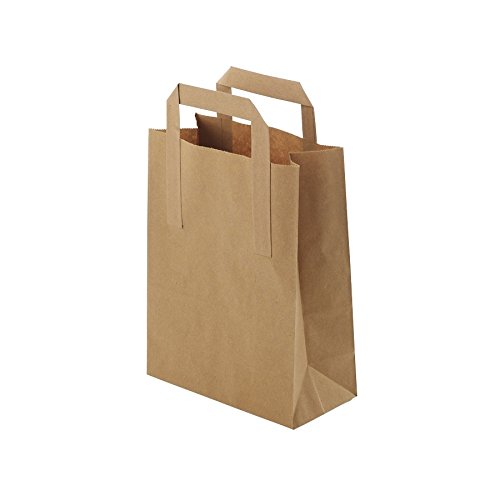 BIOZOYG Bolsas Grandes de Papel respetuosas del Medio Ambiente I Bolsas de Regalo Bolsas de Papel biodegradables, compostables I 250 x Bolsas de Papel marrón 22 x 10 x 28 cm