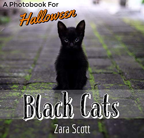 Black Cats: A Photobook For Halloween (Holiday Season Pets 1) (English Edition)