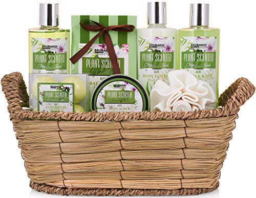 BRUBAKER Cosmetics Set de Baño y Ducha Aloe Vera - Juego de regalo de 11 piezas en cesta de mimbre