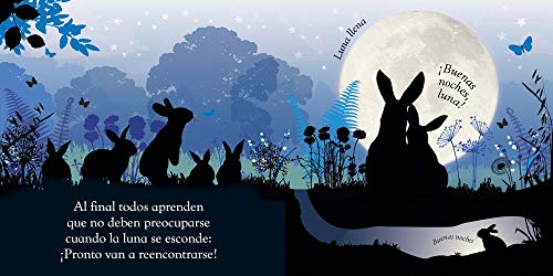 Buenas noches, Luna: Un cuento que te hará soñar (Preescolar)