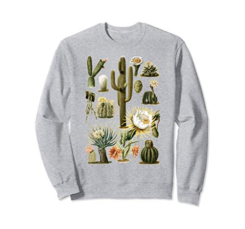 Cactus Planta Suculenta Vintage Cactus Botánica Botánica Sudadera