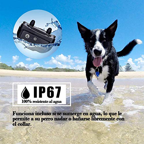 Collar De Adiestramiento De Cmoanmi,100% Resistente Al Agua Y Recargable para Perros Pequeños, Medianos Y Grandes, Nivel IP67 con Control Remoto De 300m De Alcance, Modo Pitido/Vibración