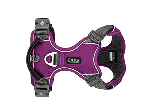 DOG Copenhagen Hundegeschirr V2 Comfort Walk (Pro) Purple Passion Talla M