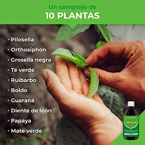 Drenante Retención de Líquidos, Detox Adelgazante, Diurético Natural, Jarabe Líquido 500ml, Elimina Toxinas, Plan Detox 6 Semanas - Té Verde Guaraná Papaya Boldo Mate - Pierde Peso Natural