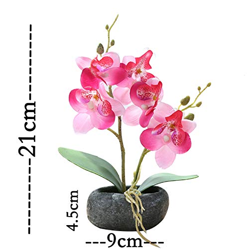 Flikool 2 Tallos Orquídeas Artificiales de Seda con Jarrón Bonsai de Phalaenopsis Mariposa Flores Artificial en Maceta Plantas Artificiales para Balcón Hogar Oficina Mesa Decoración - Blanco