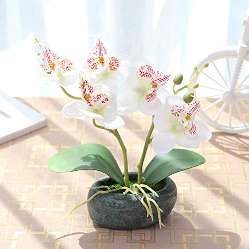 Flikool 2 Tallos Orquídeas Artificiales de Seda con Jarrón Bonsai de Phalaenopsis Mariposa Flores Artificial en Maceta Plantas Artificiales para Balcón Hogar Oficina Mesa Decoración - Blanco