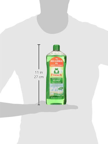 Frosch Limpiacristales - 1000 ml (4009175945235)