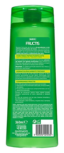 Garnier Fructis Champú Pure Fresh Pepino Purificante - 360 ml