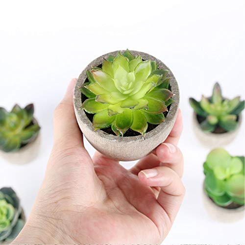 GoMaihe Plantas Suculentas Artificiales, 6 Piezas, Planta Artificial Decorativa, Adecuado para El Hogar Oficina Decoración Jardín Baño Cocina Balcón Planta Falsa Decorativas