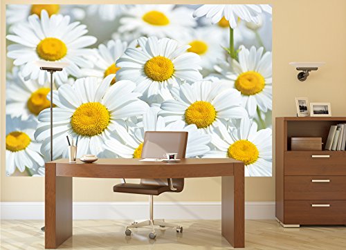 GREAT ART Mural de Pared – Prado Margaritas – Paraíso Naturaleza Flores Blancas Salón Flores Bienestar Grandes Y Plantas con Motivos Foto Papel Pintado Y Tapiz Y Decoración (210 x 140 cm)