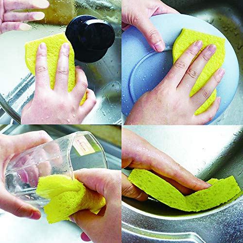 Greenet Esponjas de limpieza de celulosa Pack de 24 esponjas de cocina 100% natural Super duraderas reutilizables y biodegradables