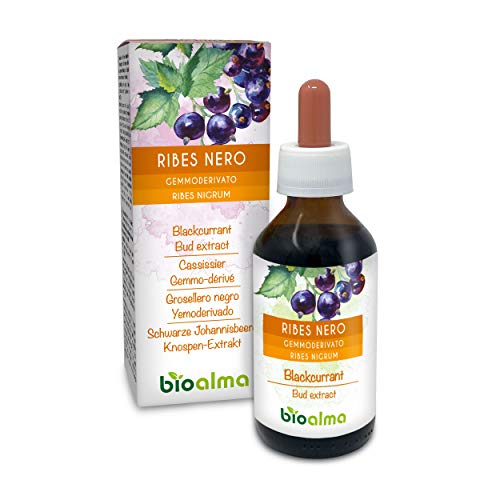 GROSELLERO NEGRO (RIBES NIGRUM) YEMODERIVADO SIN ALCOHOL NATURALMA – 100ML. Yemas muy puras de grosellero negro. 100% natural, sin azúcares añadidos. Apto para mujeres embarazadas.