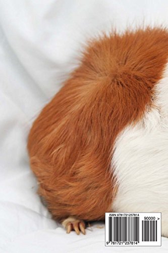 Guinea Pig Notebook