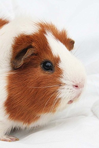 Guinea Pig Notebook