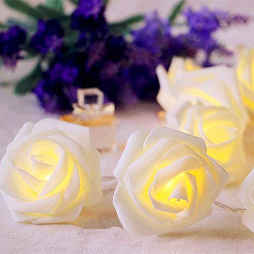 Guirnalda de luces LED - ELINKUME 2,5M/8,2 pies 20 LED rosas luces de hadas Con pilas blanco cálido decoración de flores románticas para San Valentín, Navidad, bodas, fiestas