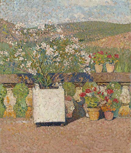 Henri Martin Giclee Lienzo Impresión Pintura póster Reproducción Print(Caja de Flores con rosal y macetas con Geranio en la terraza) #XFB