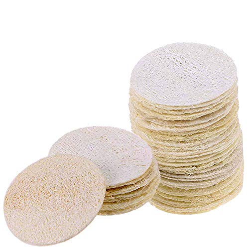 INTVN 20 Piezas de Esponja de Luffa Natural Exponja Exfoliante de Baño de Cuerpo Estropajo Natural para Cuerpo Cocina de Esponja Vegetal Natural Estropajo de Esponja Vegetal Esponja Accesorios